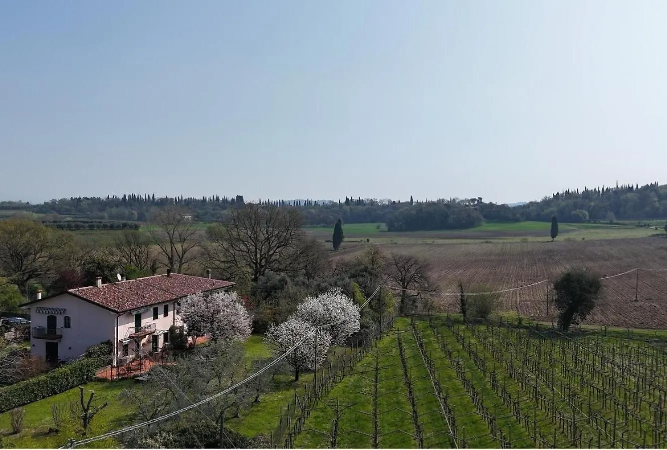 Appartamenti Savina Lazise